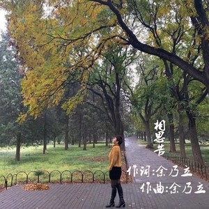 相思苦 (dj广场舞版)