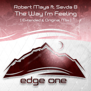The Way I'm Feeling (Extended Mix)
