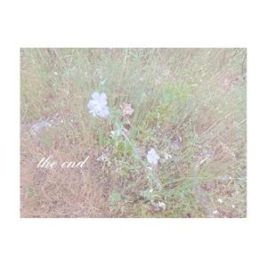 The End