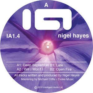 Nigel Hayes - Will I Won't I (Original Mix)