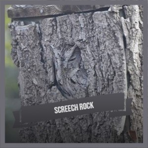 Screech Rock