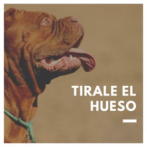 Tírale El Hueso (Explicit)