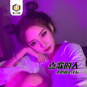点歌的人 (DJ版)