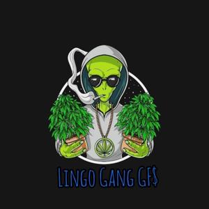 LINGO Freestyle (feat. Weez3rd, Bombay Sergio & Izzy Uno) (Explicit)