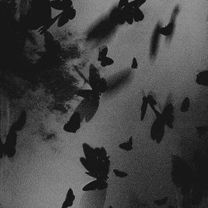 stuck in my head (Explicit)