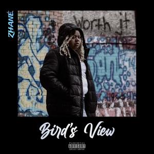 Bird's View (Explicit)