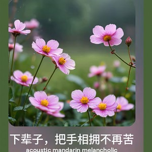下辈子,把手相拥不再苦(1)封面