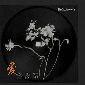 爱你没错 (伴奏)封面