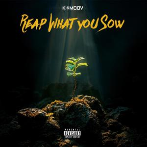 Reap What you Sow (Explicit)