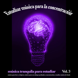 Estudiar música para la concentración: música tranquila para estudiar, música para leer y relajarse, música para un enfoque profundo y concentración y estudiar música de fondo, Vol. 3