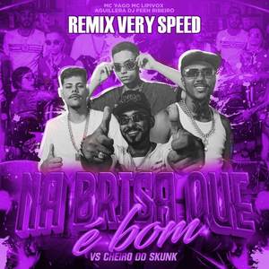Na Brisa Que é Bom VS Cheiro do Skunk (Very Speed) (Explicit)