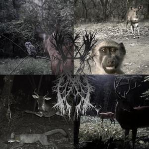 ELDRITCH BLAST (feat. Ricky Lagoon) (Explicit)