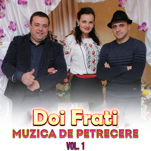 Muzica de petrecere ( Vol 1 )