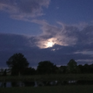 lego. (nighttime vip.)