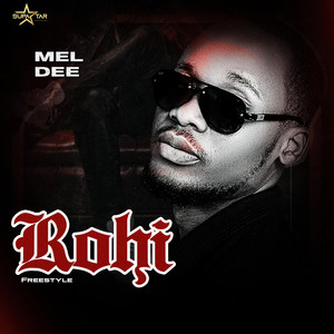 Rohi Freestyle (Explicit)