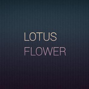 LOTUS FLOWER ONE