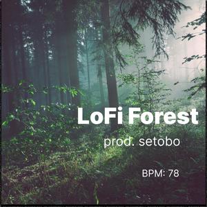 LoFi Forest