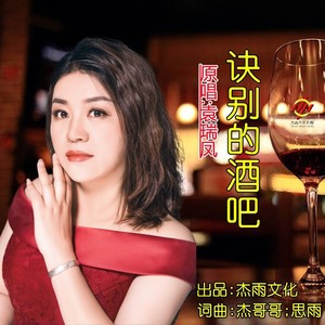 诀别的酒吧 (dj晓朋)