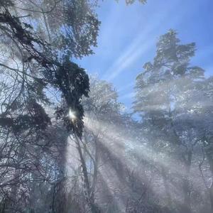 <Freebeat>* A dark day seem bright.*