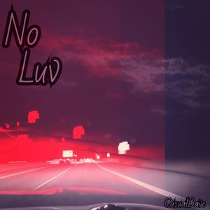 No Luv (Explicit)