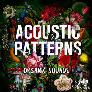 Acoustic Seasons