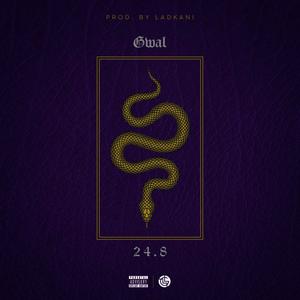 24.8 (Explicit)