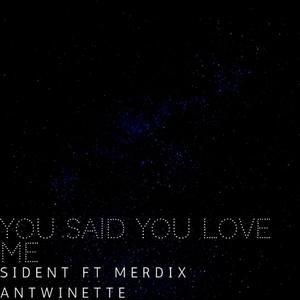 You Said You Love Me (feat. Merdix Antwinette) [Explicit]