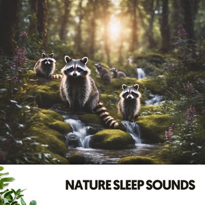 Nature Sleep Sounds: Serene Slumber Symphony