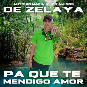 Pa Que Te Mendigo Amor