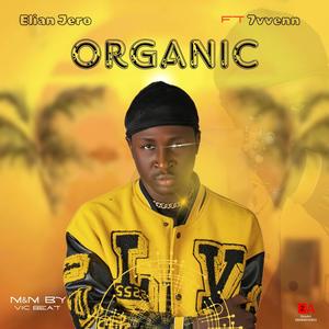 Organic (feat. 7vvenn)