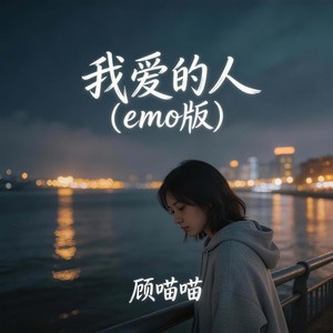 我爱的人 (emo版)封面