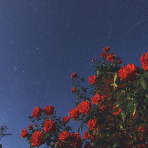 without u (Explicit)