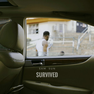 Survived (Explicit)