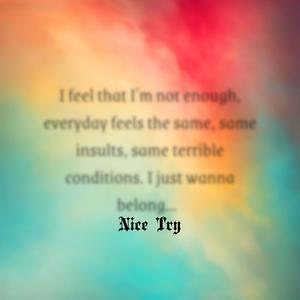 Nice Try (feat. Prod. sorrow bringer) (Explicit)