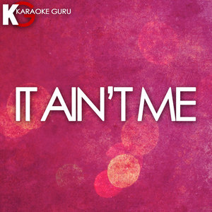 Karaoke Guru - It Ain't Me (伴奏)