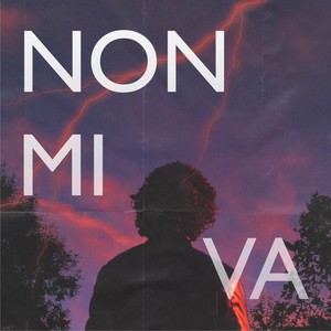 Non mi va (Explicit)