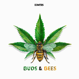 Buds and Bees