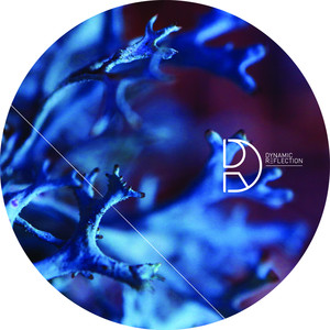 Apologize (Original Mix)