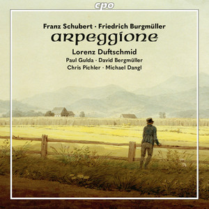 3 Nocturnes for Cello & Guitar (Arr. for Arpeggione & Guitar) - 3 Nocturnes for Cello & Guitar (Arr. for Arpeggione & Guitar) : No. 3, Allegro moderato