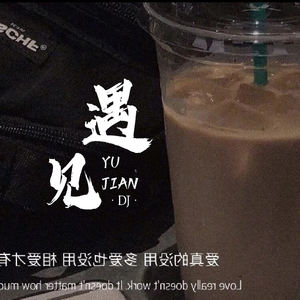 遇见 (DJ墨韩Mix版伴奏)