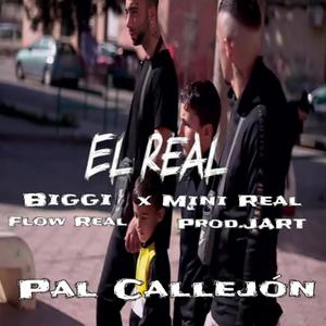 Pal Callejón (feat. Biggi, EL MINI, Flow Real & JART) (Explicit)