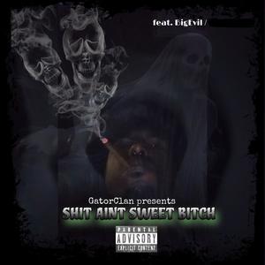 Elvis Freestyle (feat. BigEvil) (Explicit)