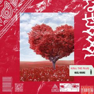 kall the plug (Explicit)