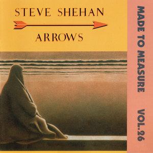 Steve Shehan - Unknown Lights
