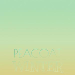 Peacoat Winter