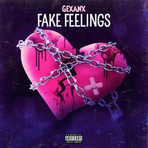 FAKE FEELINGS (Explicit)