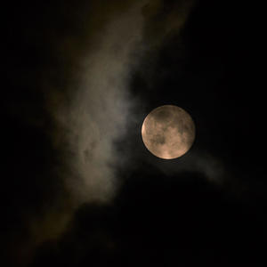 MoonLight (Radio Edit)