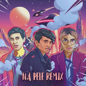 Na Pele (feat. Ankan Kumar, Shadab & Gazi) (Remix)