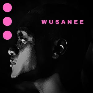 W U S A N E E (Explicit)