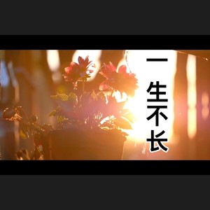 一生不长